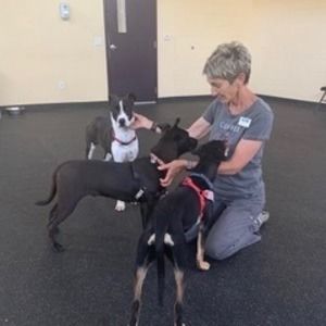 Meet your Posher, Michelle